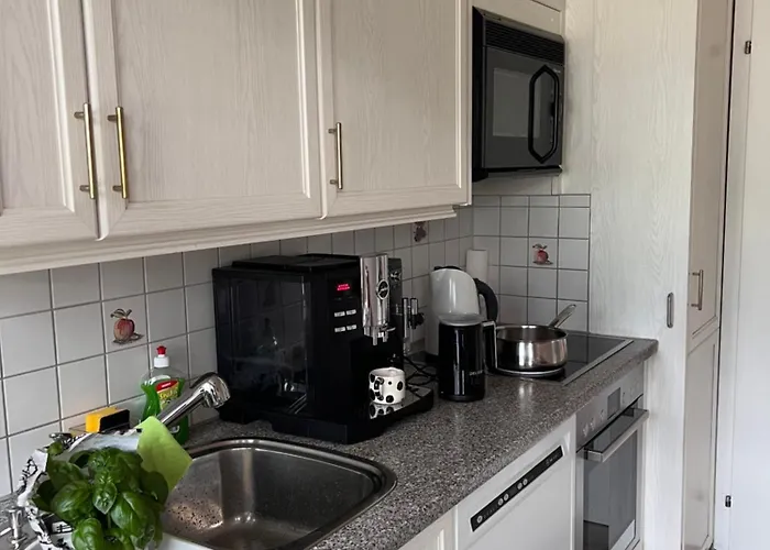 Lazy Rancho - Eiger - Moench - Jungfrau - 营地 *